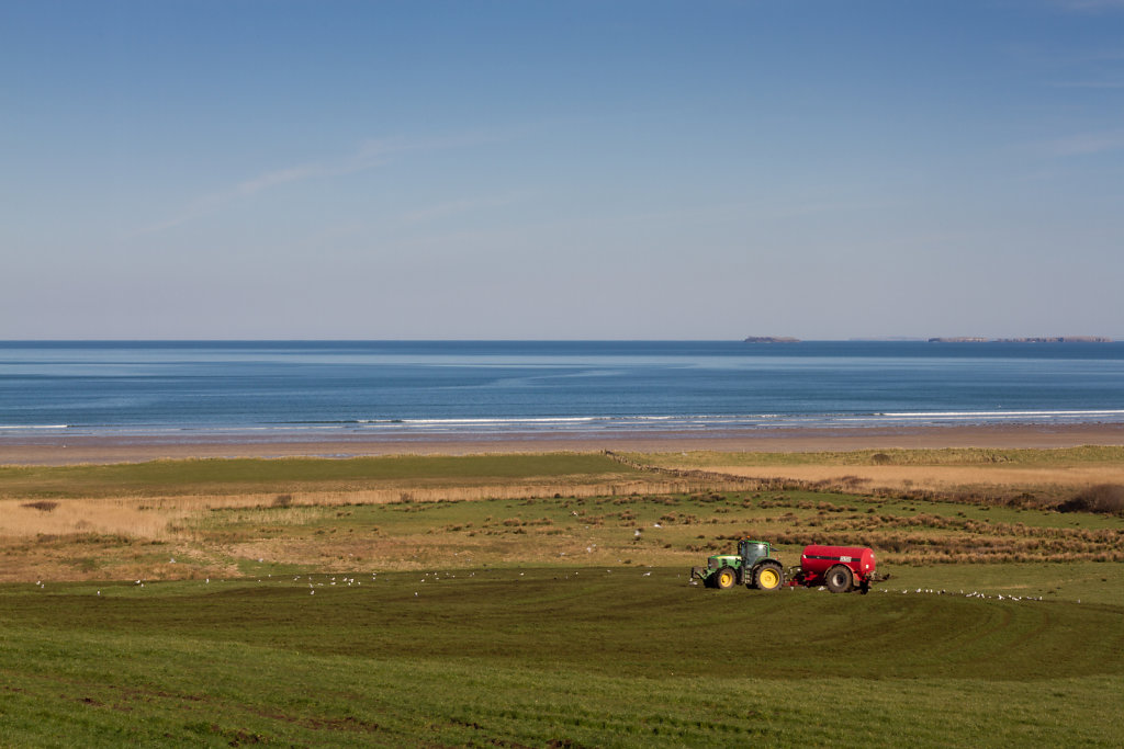 Tractor and the blue sea