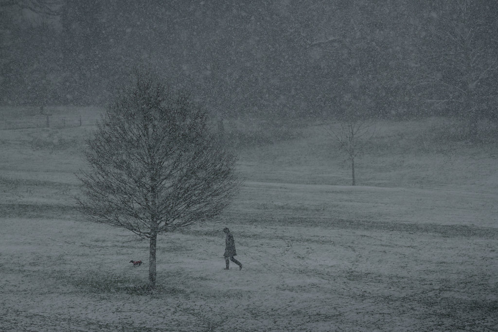 Hampstead Heath