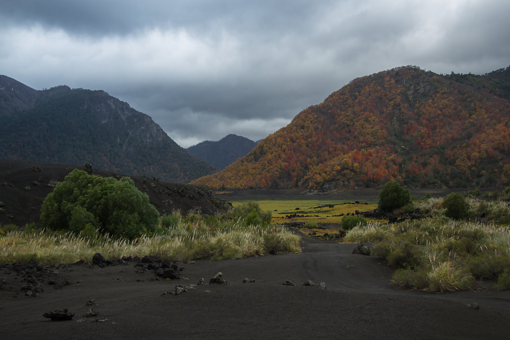 Parque Nacional Conguillio