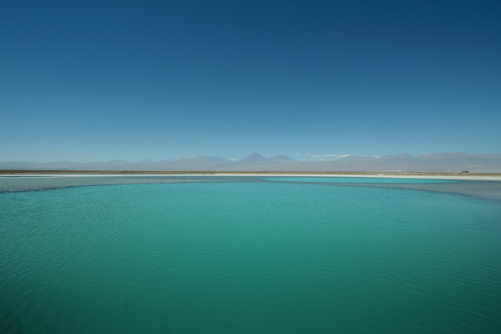 Laguna Cejar