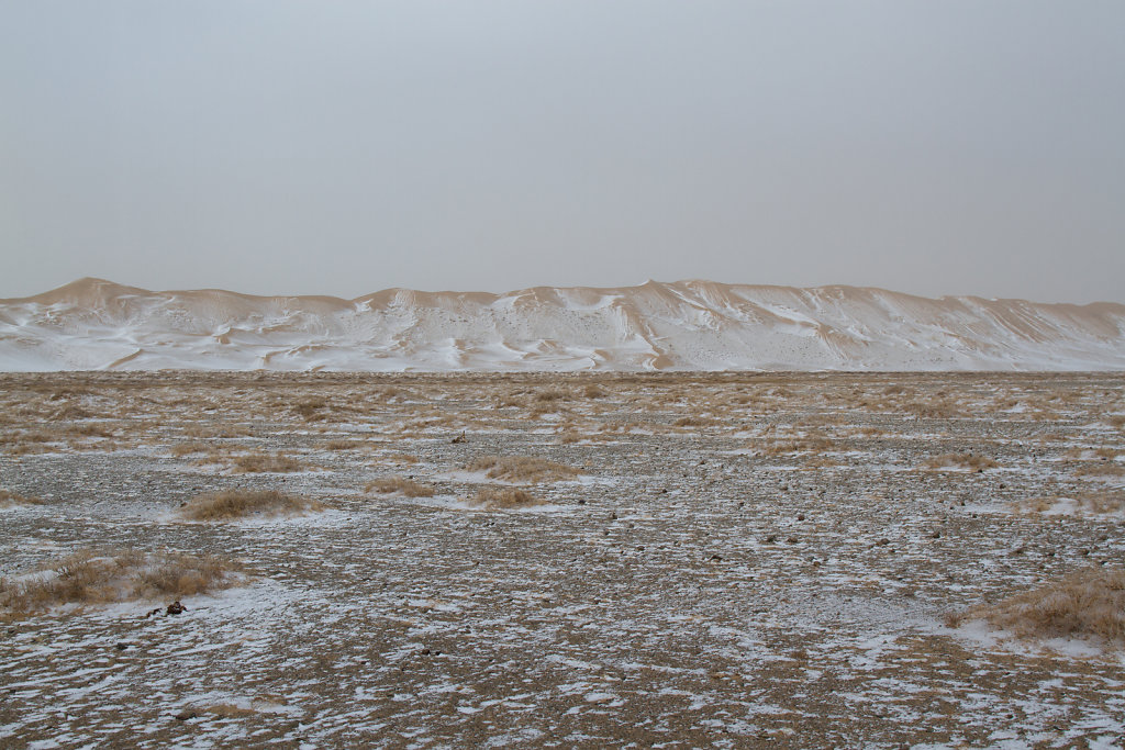 Gobi Desert, Mongolia