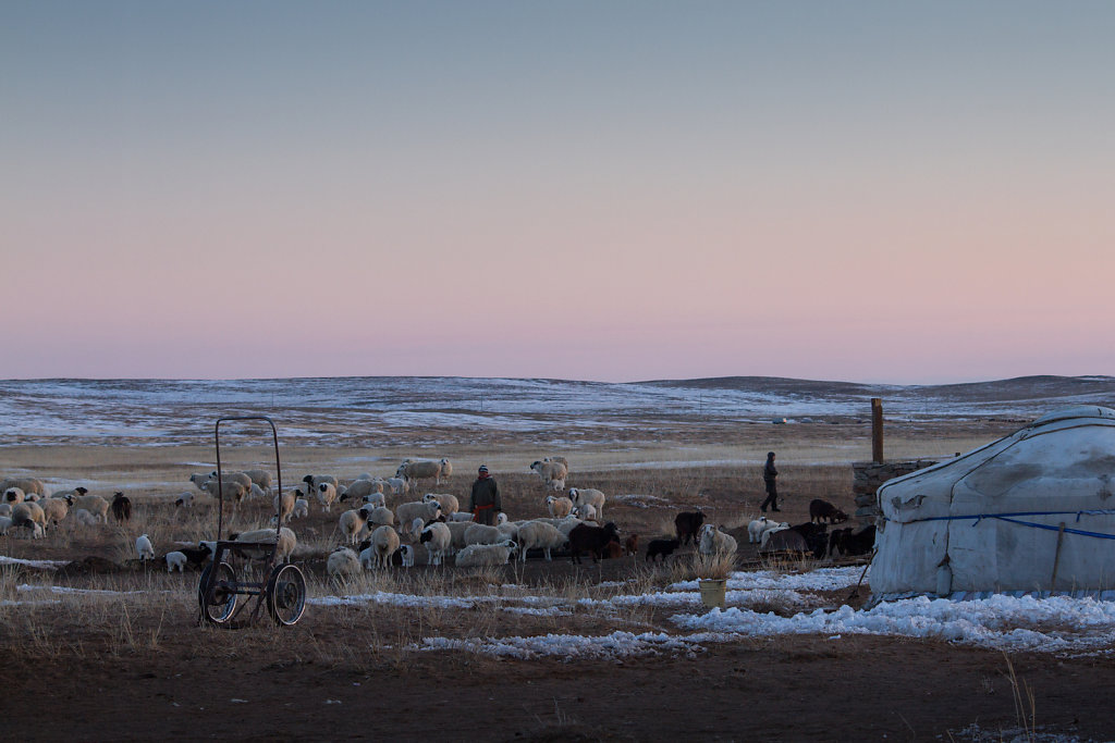 Gobi Desert, Mongolia