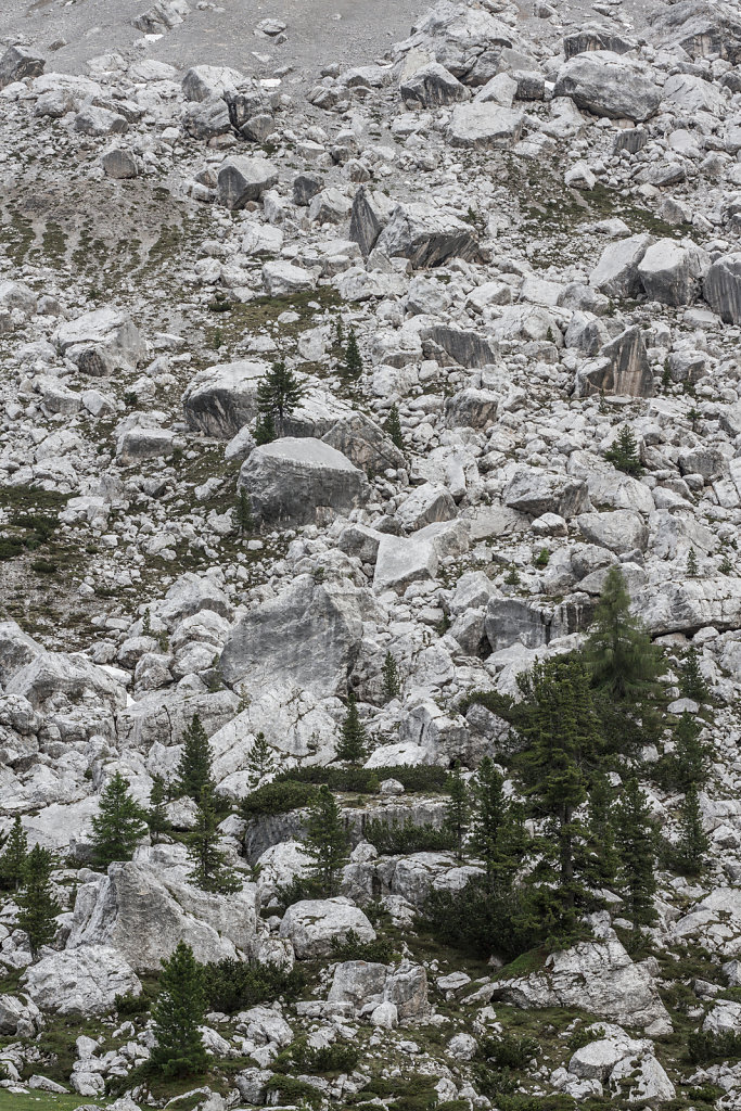Alta Via