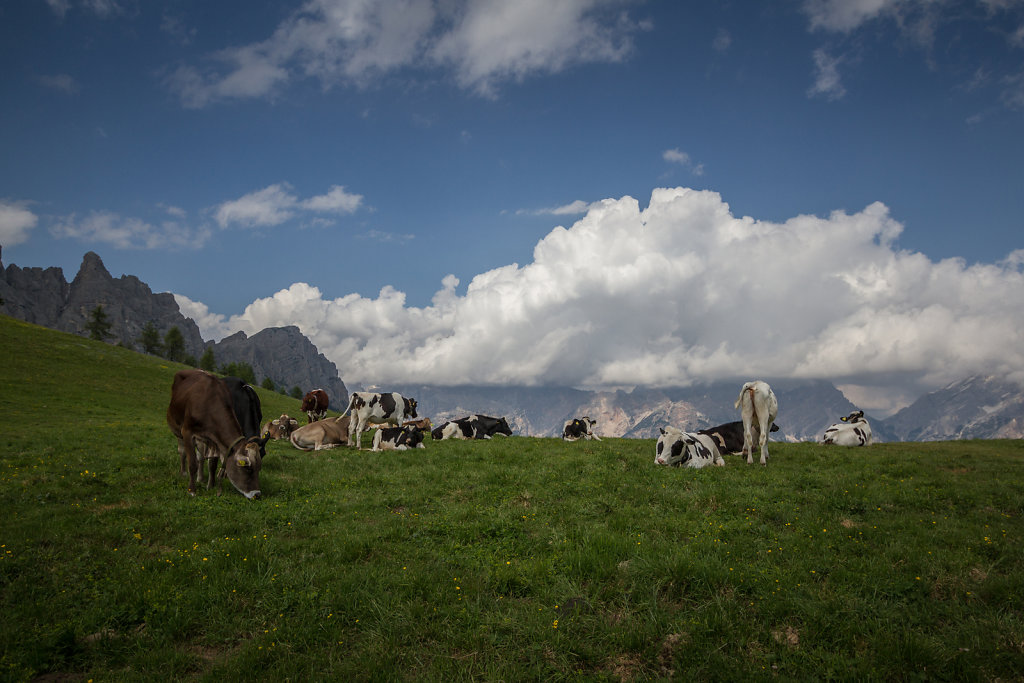 Alta Via