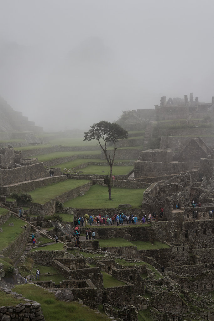 Machu Pichu