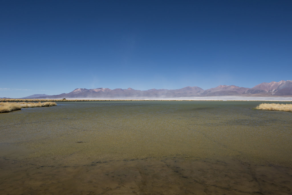 Salar del Huasco