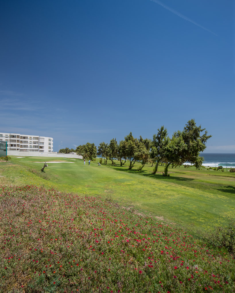 Asociación de Automovilistas de Antofagasta