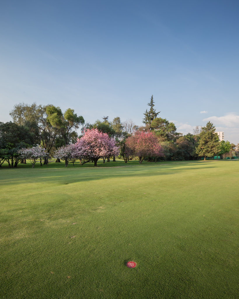 Club de Golf Los Leones
