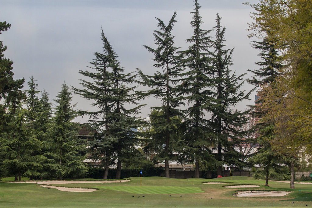 Club de Golf Sport Francés