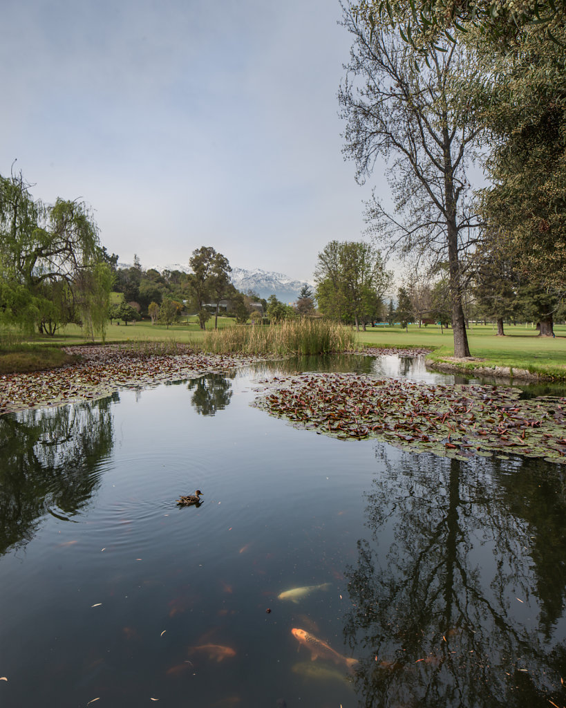 Club de Golf Sport Francés
