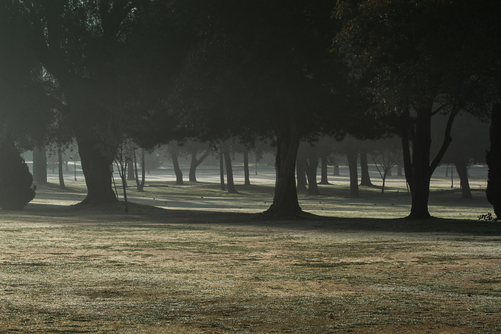 Club de Golf Los Leones