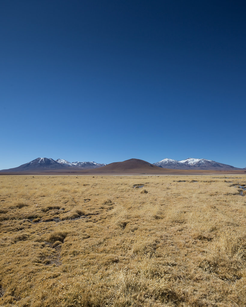 Altiplano